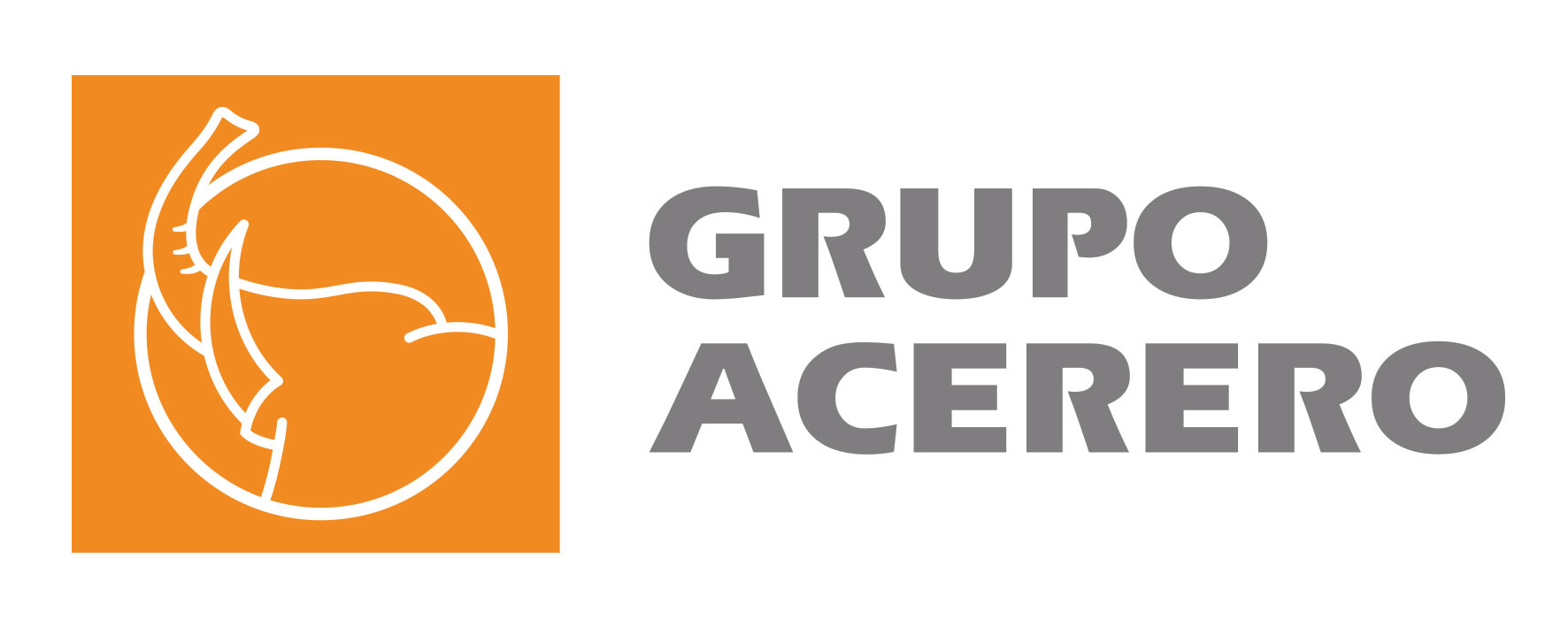 Grupo Acerero